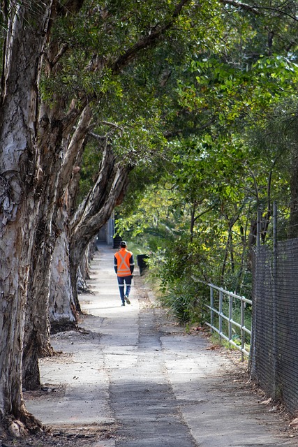 בטיחות ונראות